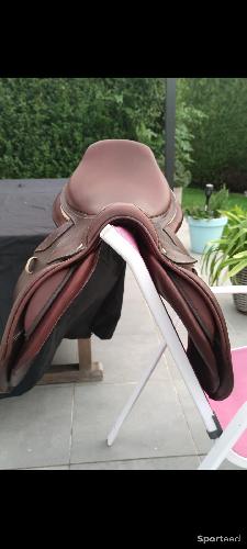 Equitation - Selle CWD SE02 de 2021 - photo 4