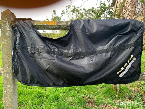 Protège reins back on track