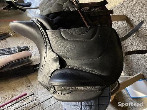 Selle Antares dressage EXCELLENT ETAT