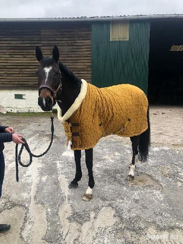 Equitation - Couverture de concours Kentucky  - photo 3