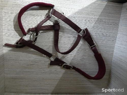 Equitation - Licol bordeaux taille full  - photo 5