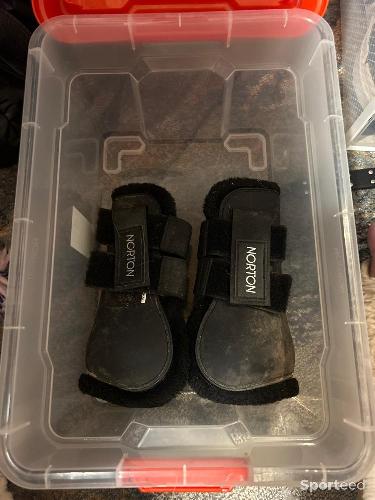 Guêtres Noir Norton Poney 