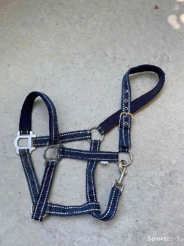 Licol réfléchissant