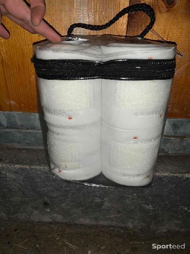 Bande blanche équitation 