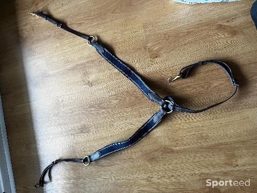 Collier de chasse hfi marine