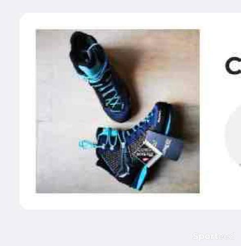 Chaussures d'alpinisme