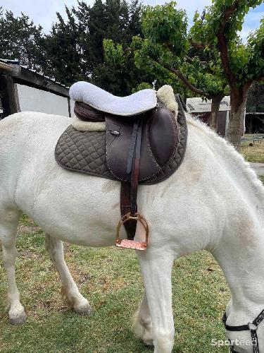 Equitation - Selle prestige - photo 6