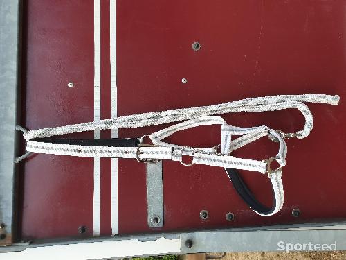 Licol & longe cheval