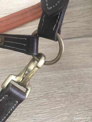 Equitation - Licol cuir Matelassé  - photo 6