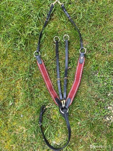 Equitation - Collier de chasse hfi master cuir noir élastiques rouge full - photo 4