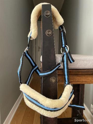 Equitation - Licol bleu et noir  - photo 5