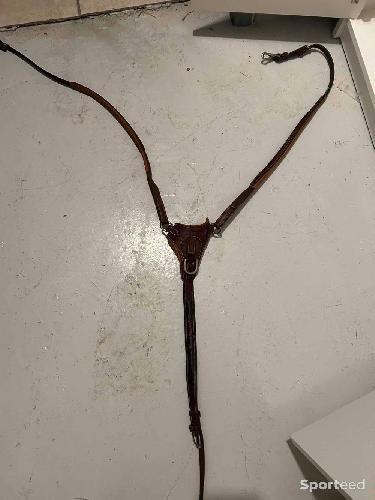 Collier de chasse