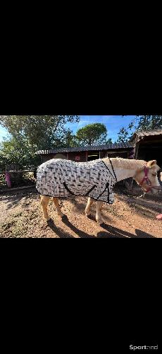 Equitation - Couverture de box - photo 4