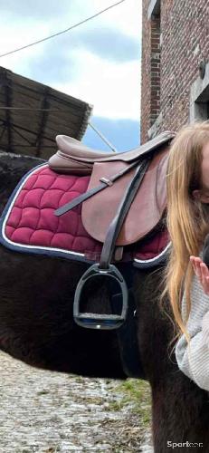 Selle wintec 500 caire 