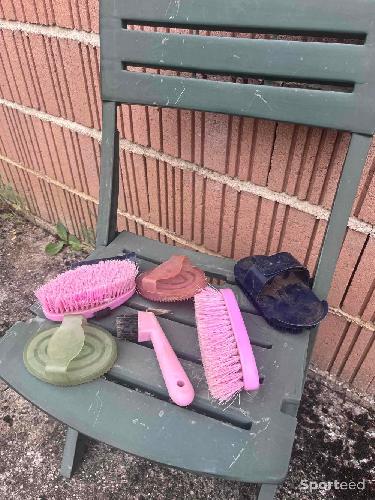 Lot de brosse (pansage)