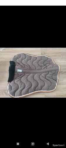 Amortisseur equithème 