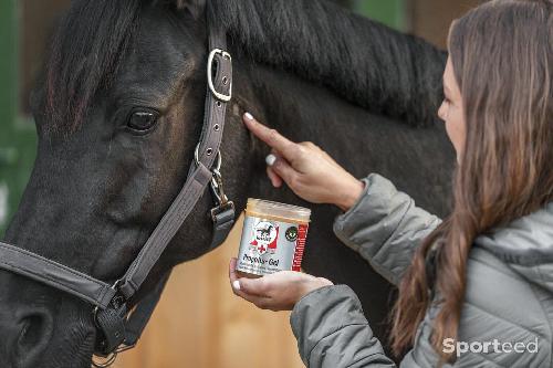 Equitation - crème cicatrisante - photo 3