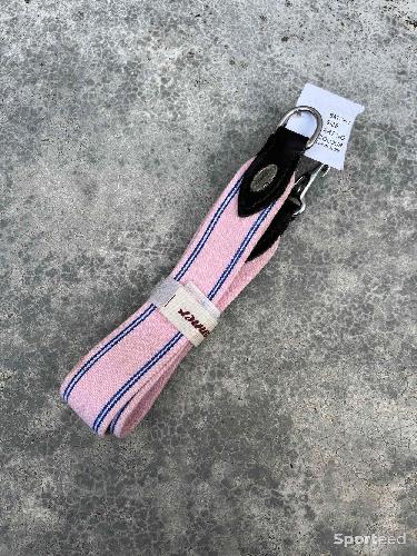 Élastiques pour collier de chasse