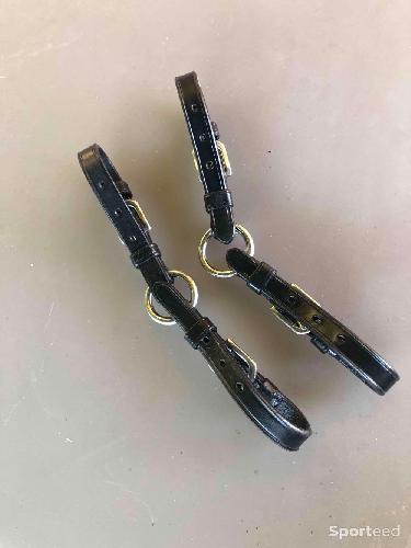 Alliance de pelham Norton 