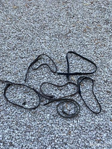Lot de noseband 