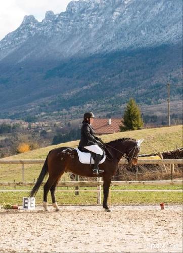 Equitation - Tapis blanc coupe CSO - photo 4