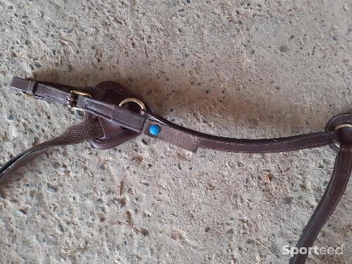 Equitation - Collier de chasse 5 points - photo 6