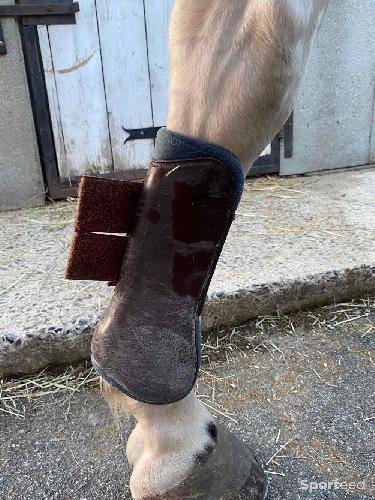 Equitation - Protections taille cheval  - photo 4