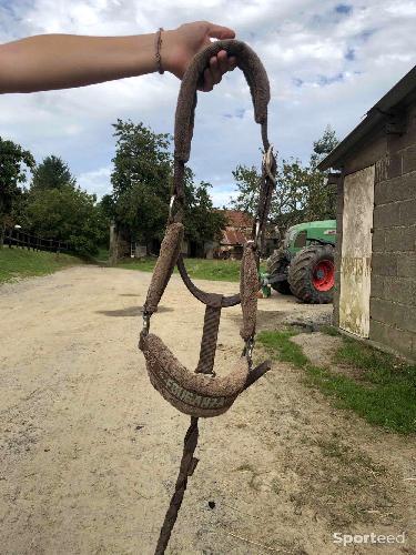 Equitation - Licol a moumoute marron taille poney/cheval  - photo 4