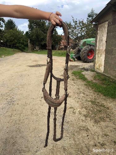 Equitation - Licol a moumoute marron taille poney/cheval  - photo 4