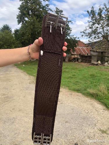 Equitation - Sangle shetland taille 55cm marron  - photo 4