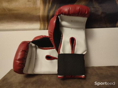 Boxes - Paire de gants de Boxe Boxing Gear Paolmares Genuine Fpx - photo 5