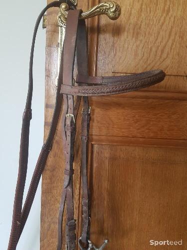 Equitation - Bridon brun taille cheval avec rennes - photo 4