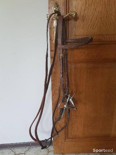 Equitation - Bridon brun taille cheval avec rennes - photo 4