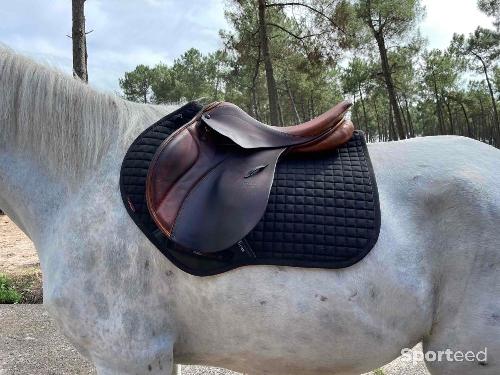 Equitation - Selle mixte  - photo 6