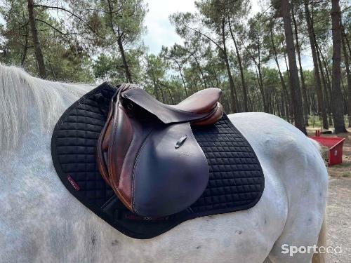 Equitation - Selle mixte  - photo 6