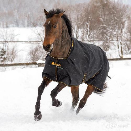 Couverture Bucas noire