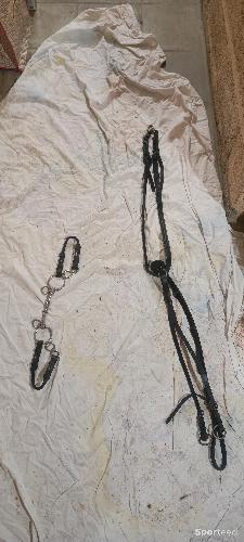 Collier de chasse Dyon Full