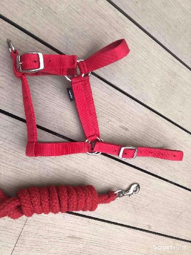 Licol rouge