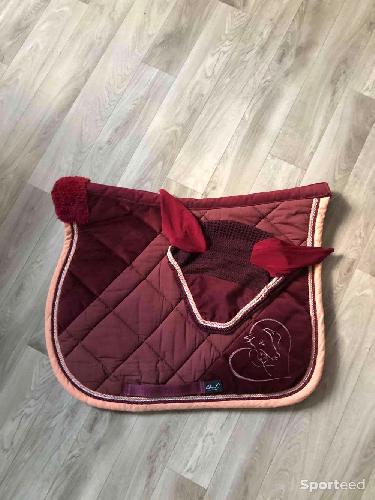 Equitation - Tapis et bonnet taille cheval - photo 6