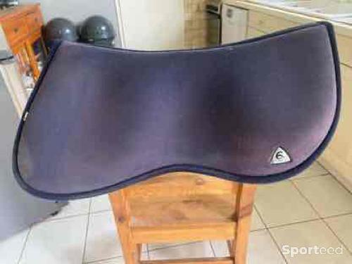 Amortisseur mémoire de forme acavallo