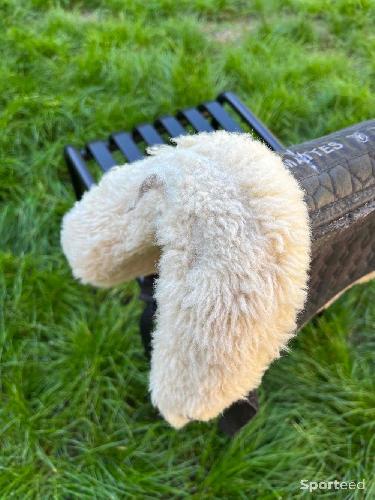Equitation - Tapis et amortisseur - photo 5