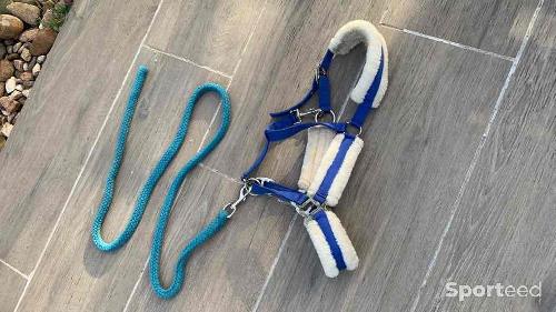 Licol grand poney/petit cheval