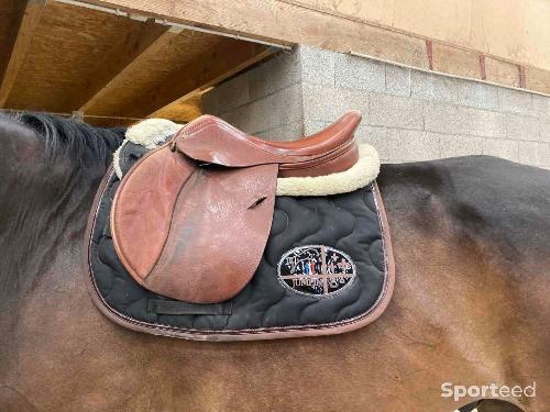 Equitation - Selle Terry’s 17,5 - photo 6