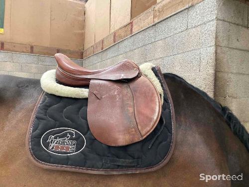 Equitation - Selle Terry’s 17,5 - photo 6