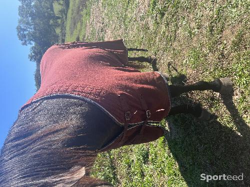 Equitation - Polaire pour cheval  - photo 6