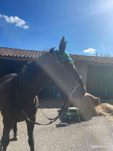 Equitation - Bonnet cheval - photo 3