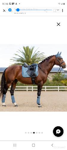 Equitation - Tapis dressage lemieux loire  - photo 4