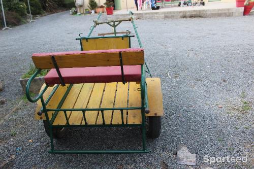 Equitation - Road Car artisanal - photo 3