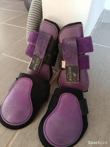 Guêtres taille poney violet