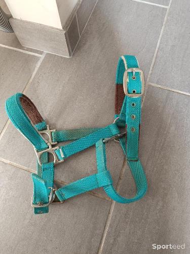 Licol bleu taille poney